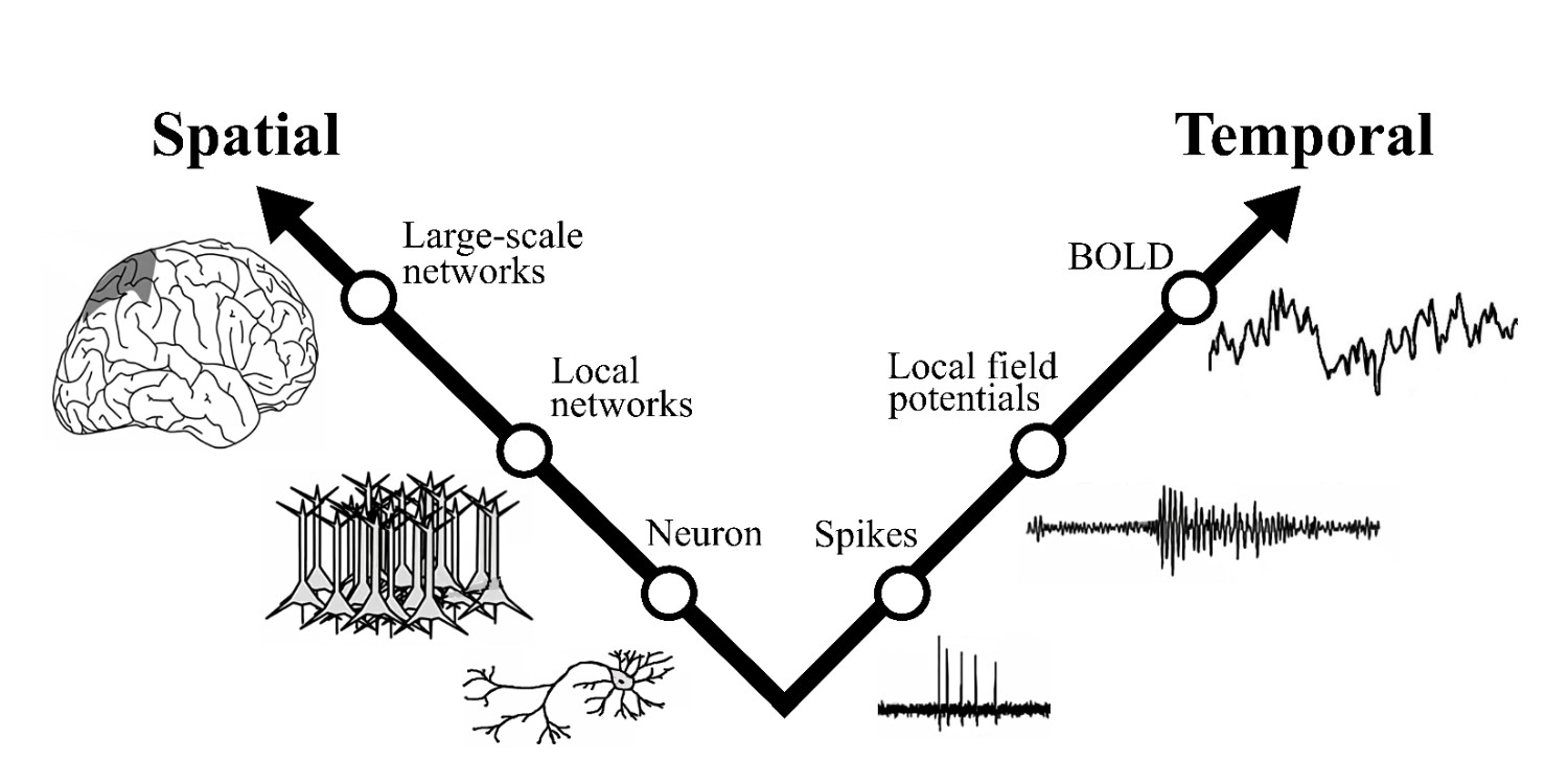 Temporal Resolution Brain Example A Hitchhiker’s Guide to Temporal Complexity for Resting State fMRI Analysis