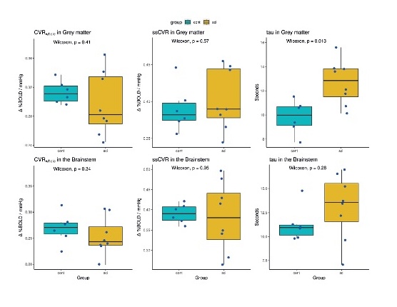 Cerebrovascular Reactivity